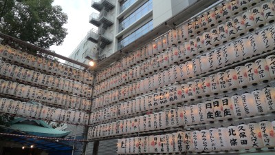 WIN_20251019_11_02_57_Pro