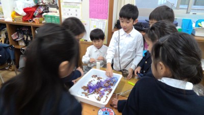 WIN_20251112_11_08_35_Pro